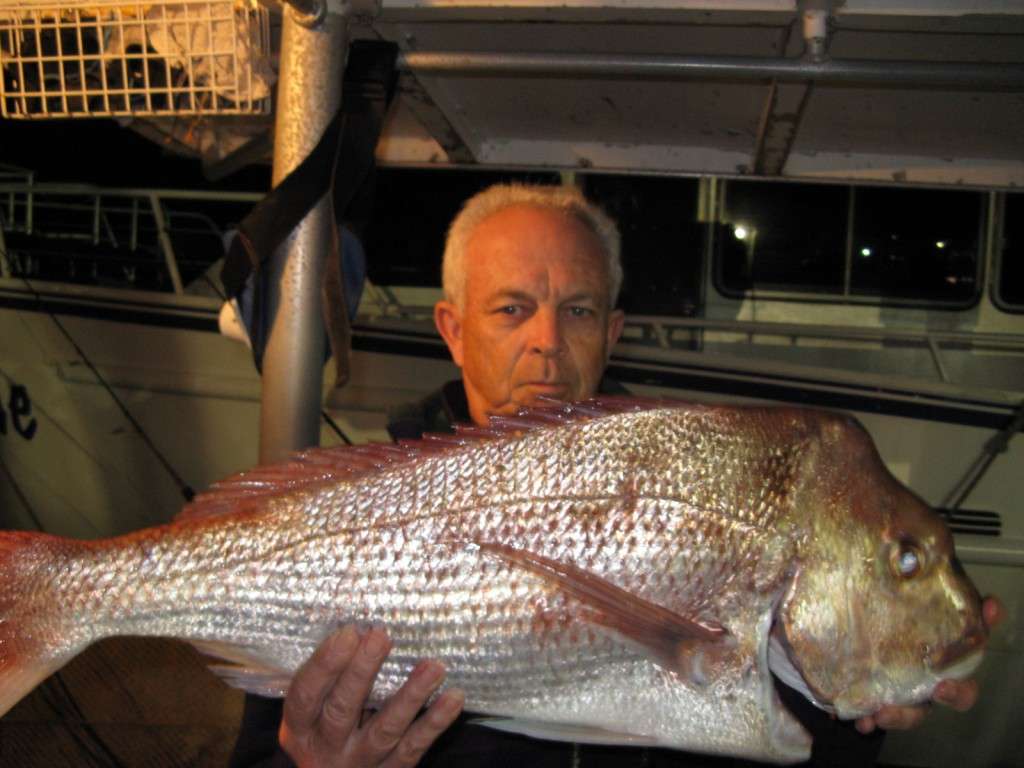 snapper to 6kg from caloundra wide