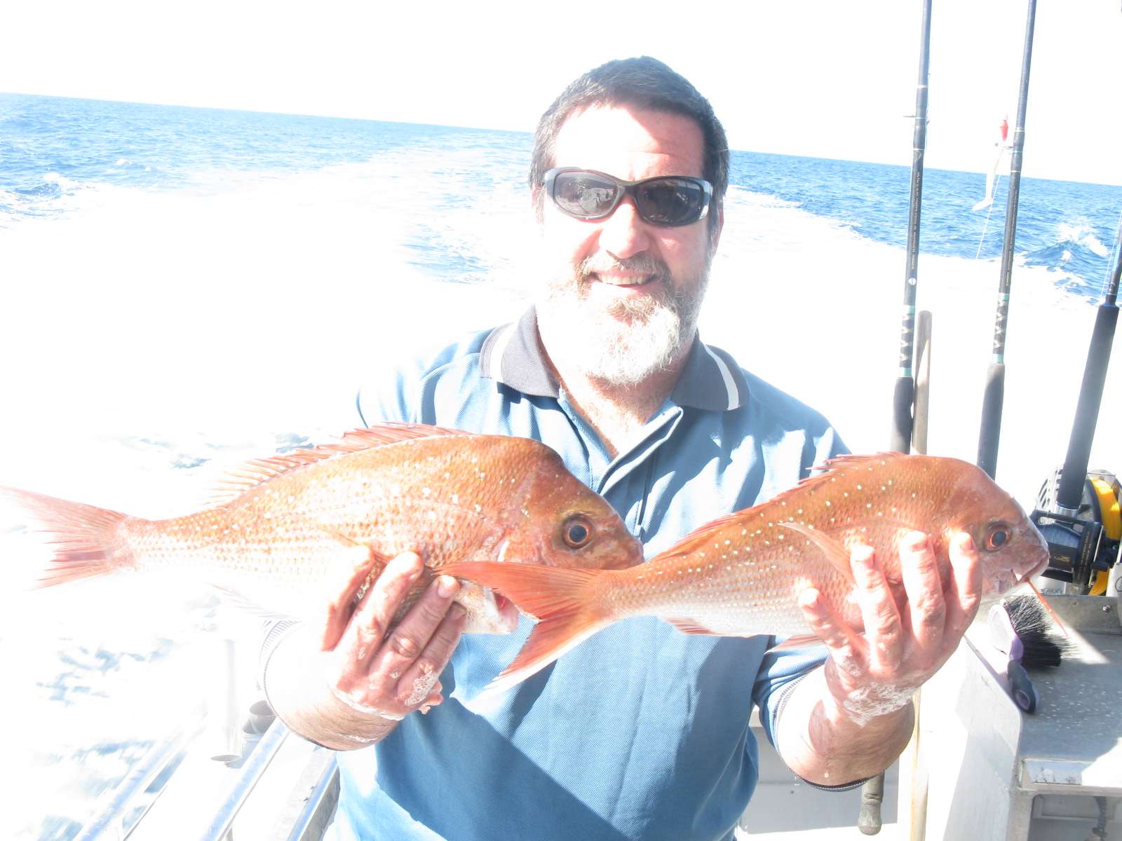 Sunshine Coast Fishing / Offshore Adventures | Top Catch Charters